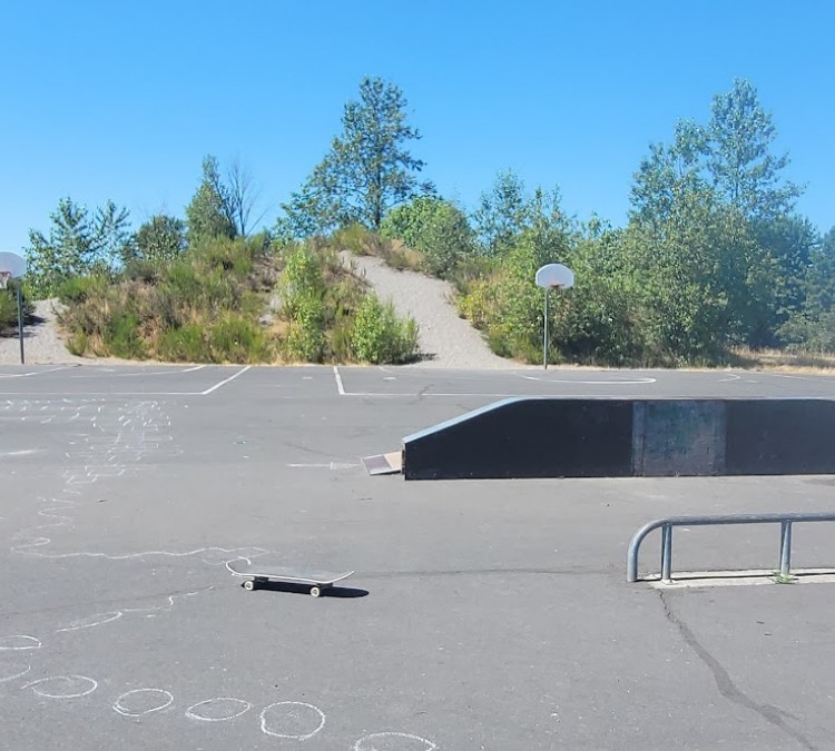 castle-rock-skatepark-basketball-court-photo